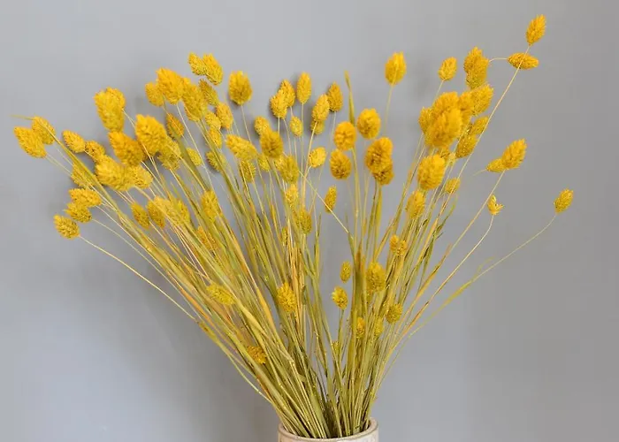 Διαμέρισμα Trastevere Golden Luxury Loft Ρώμη